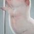 Cutie Pig Good Dancing