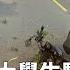 2菲律賓籍大學生騎車相載 挵著人行道死亡 公視台語台 20250601