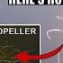 Fastest Organism On Earth Uses The Smallest Natural Propeller But Why