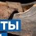 Артефакты Арктики полярные башмаки
