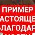 ПРИМЕР НАСТОЯЩЕЙ БЛАГОДАРНОСТИ ОТЕЦ СЕРАФИМ ЕПИСКОП ИППОЛИТ ХИЛЬКО