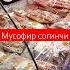 мусофир согинчи
