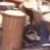 Abbos Kosimov World Percussionist From Uzbekistan
