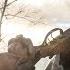 ДРОБОВИКИ ПОСЛЕ НОВОГО TTK BATTLEFIELD 1