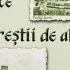 Toate Trec