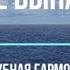 Фильм Пока не выпал снег красивая мелодия на губной гармошке С табы