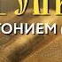 Толкование Евангелия с митр Антонием Паканичем Суббота 2 ноября 2024 года