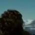 Into The Wild