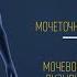 Выделительная система человека Анатомия Биология 8 класс Мочевыделительная система Нефрон почки