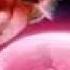 Planet P Project Pink World What I See
