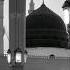 Habibi Ya Muhammad Nasheed Islamicstatus Foryou Shorts