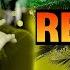 INTERNATIONAL REGGAE REMIX 2024 Melô De Missouri Exclusivity Prod Talisonruan