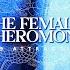 𝟒𝟑𝟐 𝐡𝐳 The Female Pheromone