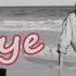 Feder Goodbye Vijay Sofia Zlatko Remix