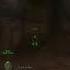 Leech Widow Rare Wetlands WoW Classic