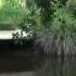 Jacque Fresco April 5 1975 Civilized Man 1