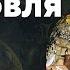 Средневековая торговля Сергей Карпов Родина слонов 36