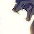 Warrior Cats That Fans LOVE Warrior Cats Edit