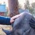 Жизнь на белорусском лесном хуторе Ловим рыбу делаем забор закатываем берёзовый сок готовим тефтели