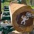 Milling Tulip Poplar Sawmill Satisfying Diy