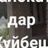 ХАТМАН ИНРО БИНЕД ФАЛОКАТ ДАР КУЙБЕШ
