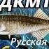 Колюшка девятииглая Подкаменная Тунгуска РР3 Русская Рыбалка 3 Гренландия