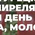 В молдо турецком лицее им С Демиреля отметили День памяти Ататюрка молодежи и спорта