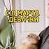 С 8 марта девАчки 8марта женскийдень март котики мартовскиекоты приколы юмор киса кот