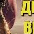 Уникальные драккары викингов
