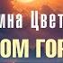 Шафрана В огромном городе ночь нейрокино Official Video 2024