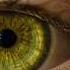 GET GREEN EYES SUBLIMINAL Powerful Frequency For Biokinesis Change Your Eye Colour Hypnosis