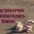Животные в космосе Погибшие испытатели