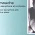 Darius Milhaud Scaramouche Alexander Strelyaev Saxophone With Folk Orchestra