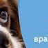 Офтальмология для врачей общей практики
