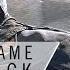 Assassin S Creed Unity OST Vol 2 Rather Death Than Slavery Game Of Thrones Music Trailer