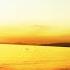 Haven