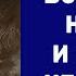 ШКОЛА АВТОНОМИИ Как возможно не есть и не пить несколько месяцев Мой опыт