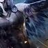 Nightcore Dance With The Devil Breaking Benjamin Lyrics