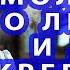МОЩНАЯ МОЛИТВА О ЛЮБВИ ОТ ОДИНОЧЕСТВА И ДЛЯ КРЕПКОГО БРАКА