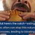 The Bizarre Reason Your Stomach Makes Loud Noises Even When Youre Not Hungry