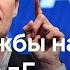 Чем страшна Альтернатива для Германии партия объявлена экстремистской организацией DW Новости