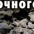 Ночь у реки Сон под звуки костра и сверчков
