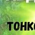 Шаманская медитация ТОНКИЙ ПЛАН видеть глазами шамана