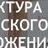 Структура корейского предложения