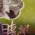 晓说 第189期 最远的边疆阿拉斯加 一 疯狂动物城