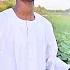 الشفيع قري بلومي New 2022 اغاني سودانية 2022