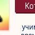 Урок 28 Который час Saat Kaç Время Турецкий язык с нуля
