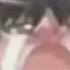 Reimu Crying Mp4