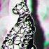 Tom Budin Kastelo Aaron Pfeiffer Rabbit Hole NYX