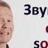 O O Английский алфавит Буква O O Shorts